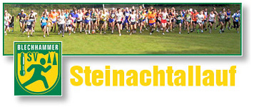 Steinachtallauf