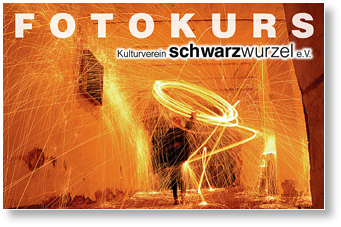 Schwarzwurzel Fotokurs