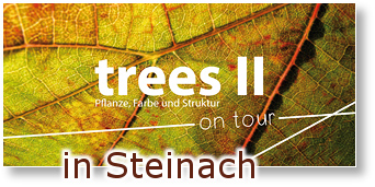Schwarzwurzel trees II