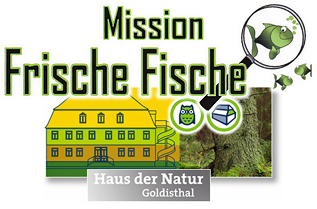 HdN FrischeFische