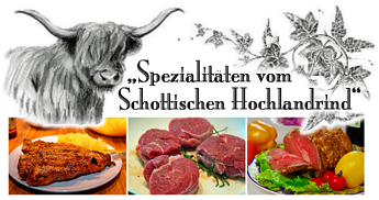Hochlandrind