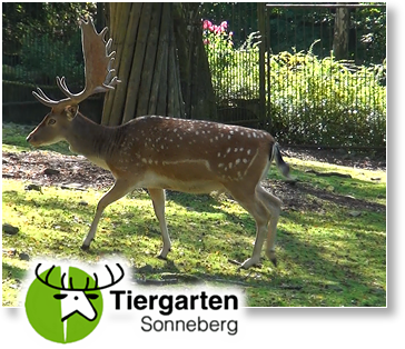 Tiergarten Sonneberg