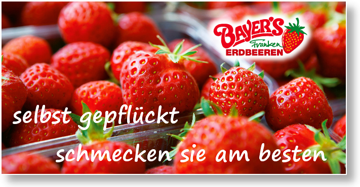 Bayers Erdbeeren