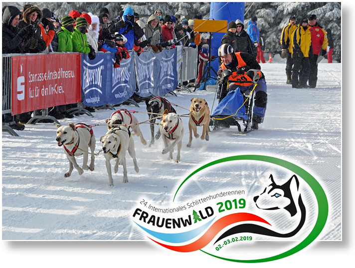 Schlittenhunderennen Frauenwald 2019