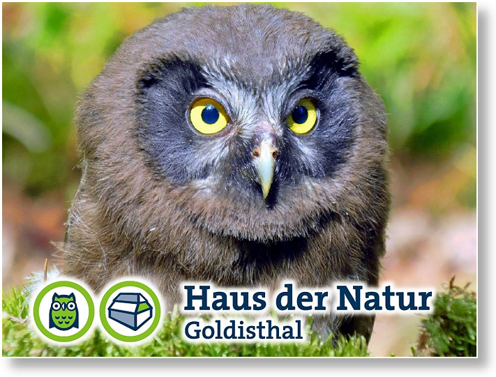 Haus der Natur Goldisthal