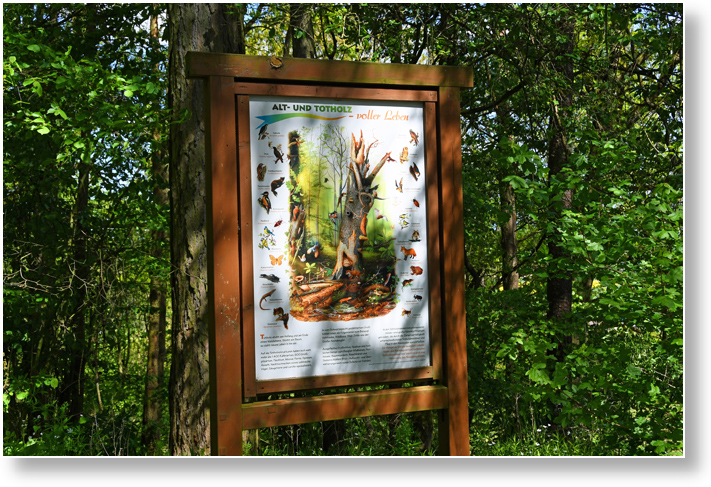Natur Erlebnispfad Fuerth