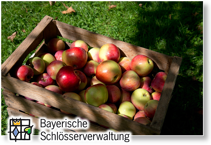 Rosenau Apfelsaft