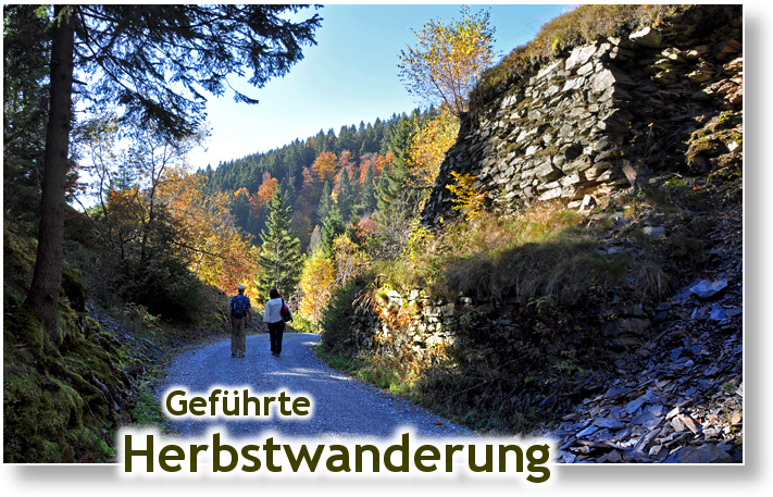 Gefuehrte Herbstwanderung