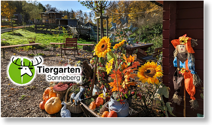 Tiergarten Sonneberg Herbst