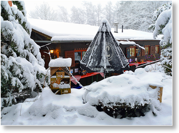 Winter am Muppberg