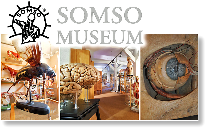 SOMSO Museum Sonneberg