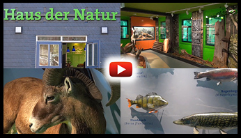 V Haus der Natur