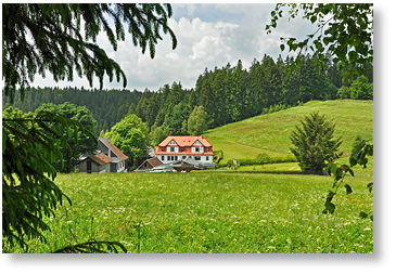 W Steinach 2